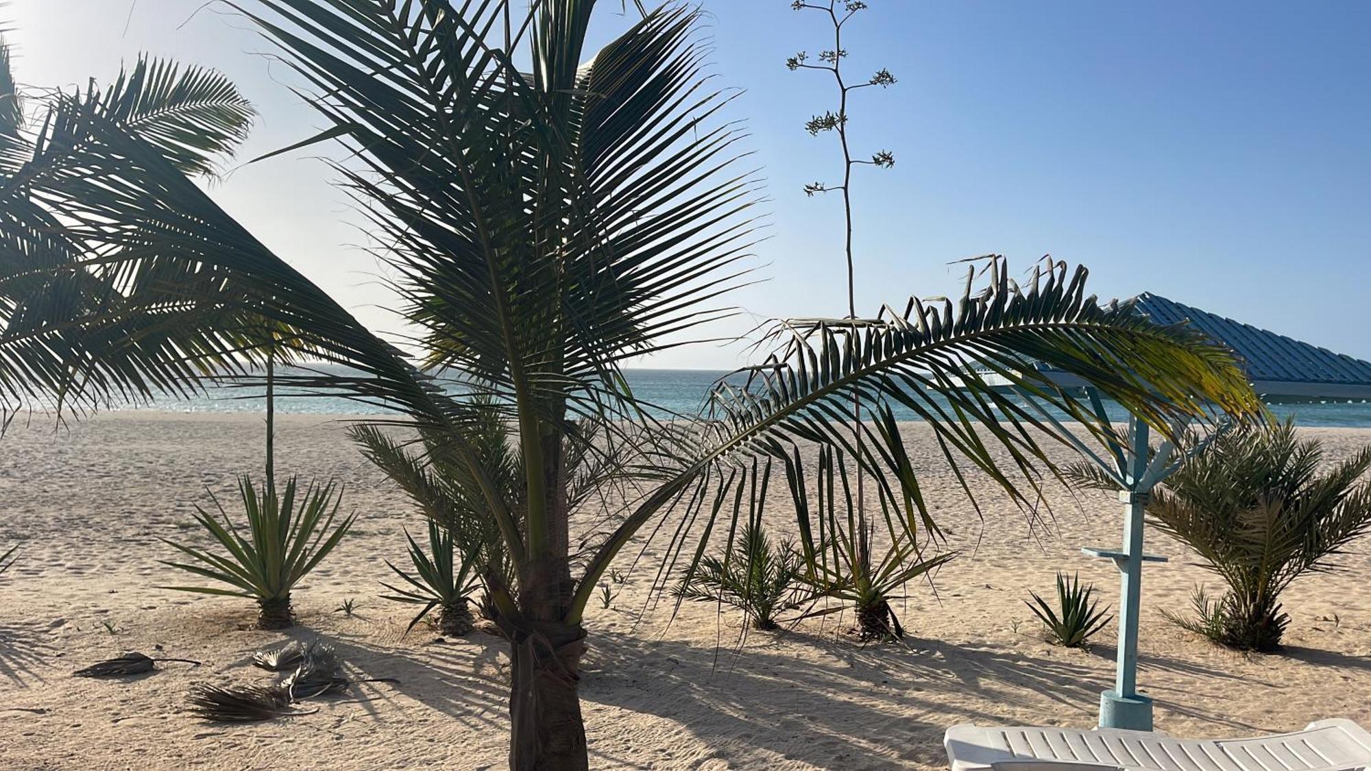 Luxury Beach Villa, Praia De Chaves, Boa Vista Sal Rei Dış mekan fotoğraf